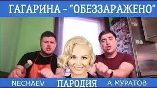 Полина Гагарина - Обезоружена (Пародия)