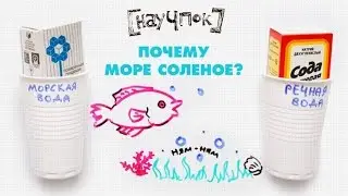 Почему море соленое? — Научпок