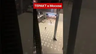 ТЕРАКТ Крокус 