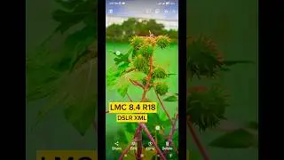 Lmc 8.4 Human Portrait Dslr Xml File 🥰🔥 Lmc 8.4 Config File Download | Mamun Tech Explan 