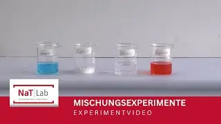 Mischungsexperimente mit Wasser, Zucker, Ethanol, Öl und Heptan – Experiment für den Unterricht