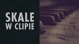 Skale w clipie MIDI (Ableton Live 11)