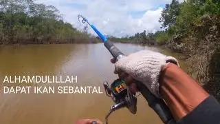 Sungguh_tak Percaya Dapat ikan sebesar ini umpan Baru di lempar kan.