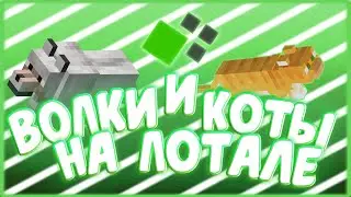 ГАЙД ДЛЯ НОВИЧКОВ | ВСЕ ВОЛКИ И КОТЫ НА ЛОТАЛЕ | ГДЕ ФАРМИТЬ ОПЫТ | CRISTALIX JEDICRAFT