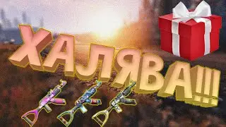 Розыгрыш!!! Он Пытался Спрятать Cеру?! [RUST | РАСТ]