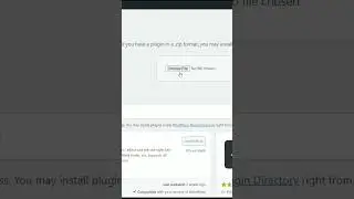 How to Upload and Activate WordPress Plugin 🌐 