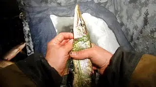 Рыбалка 2022! Проверка сети и Замена её на РАМОВУЮ сеть! Сеть FISHING PRO!