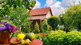 🏠КАК Я ВСЁ УСПЕВАЮ! 🌸НЕ СКУЧНЫЙ ОГОРОД. Огород без хлопот. Ненужные Огородные Работы #огород #дача