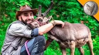 Baby Reindeer Loves Hugs!