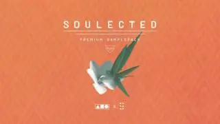 Squadpack x Samplified - Soulected [Sample Pack]