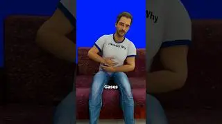 What Happens When You Hold in a Fart?😮‍💨