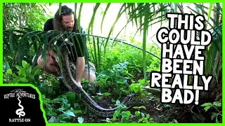 FINDING AFRICAS BIGGEST SNAKE!