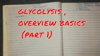 glycolysis , 