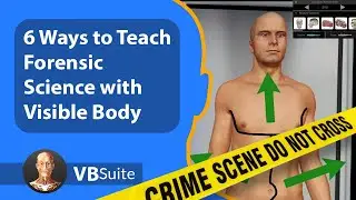 6 Ways to Teach Forensic Science with Visible Body Suite