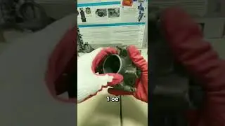 Это Важно Делать Раз в Два Года! 
