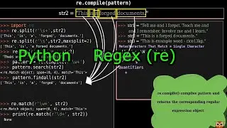 Regular Expression in Python Tutorial | Explained using Animation (Manim Lib) | Python for Beginners