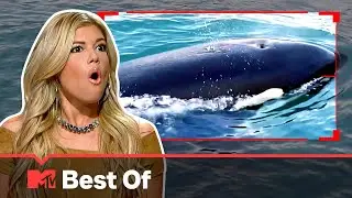 Ridiculousnessly Close Calls 🤏 SUPER COMPILATION