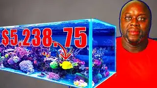Revealed! $5.7 Billion Untapped Worldwide Niche | How To Make Money Online