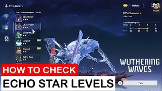 How to Check Your Echo Star Level and Echo Collection Progress in Wuthering Waves