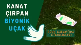 Kuş Gibi Uçan Biyonik Kağıt Uçak Nasıl Yapılır? I Eğlenceli Origami