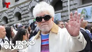 EN VIVO: Almodóvar en el Festival de Cine de Venecia para presentar "The Room Next Door"