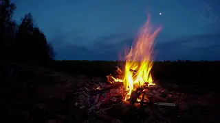 🔥 Campfire Ambience with Night Animals such as Owls and Crickets. Made for Relaxation & Sleep, Enjoy