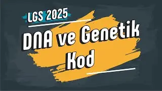 DNA ve Genetik Kod | 8. Sınıf 