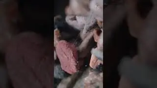 Личинка ручейника - как выжить в бысрых водах