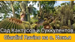 Сад кактусов и суккулентов Равино на итальянском о. Искья Giardini Ravino.