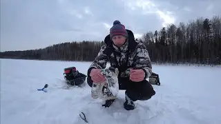 НЕ ЗРЯ СТОЛЬКО ШЁЛ! ЩУКА НА РАТТЛИН, ЖЕРЛИЦЫ НЕЛЬЗЯ ОСТАВИТЬ.