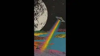animated video loop © NIBERA