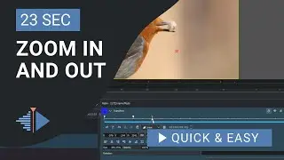 Kdenlive Tutorial: How to Zoom In Kdenlive