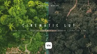 CINEMATIC LUT/FILTER FOR VN EDITOR | LUT for AE, PP, VN Video Editor | Download Free