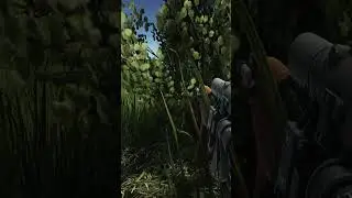 Escape from Tarkov ● Очень ловкий мосинист в начале вайпа ● 
