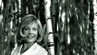 Ольга Воронец 