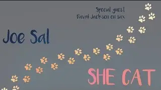 Joe Sal - She-Cat (Lyric Video)