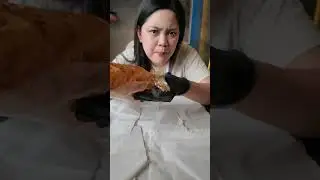 BASRENG ONLINE ISI BATU ?!!! 