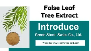 False Leaf Tree Extract