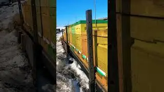 8 марта девочки вышли на прогулку 😇