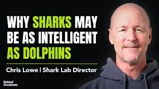 Ancient Sharks, Evolution, Cognitive Ability | Chris Lowe