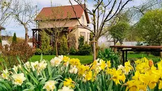 Маленький Дом 🏠 Сад. Уютная Жизнь за городом. Рецепт Котлет 