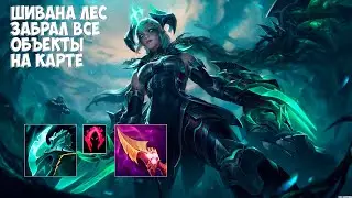 Шивана (Shyvana) лес, ELDER DRAGON SPEEDRUN!  - League of Legends