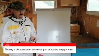 📕 Про неправильную обсушку рамок после откачки меда 📕