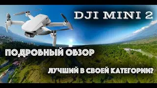 DJI MINI 2: Подробный обзор самого компактного дрона с 4K камерой