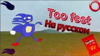 Too fest на русском, перевод на русский.