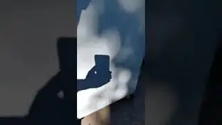 Контейнер для мусора
