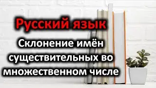 Склонение имён существительных во множественном числе. Учим русский язык.