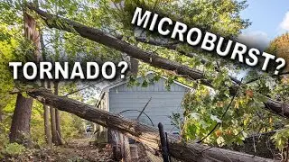 I Thought A Tornado Hit My House! MicroBurst? | What Is A Derecho?!