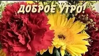 Как хорошо на свете, ПРОСТО ЖИТЬ!!!! Доброго вам Утра!!! Светлого Дня!!!