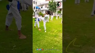 amazing taekwondo kicks 🦵😱 